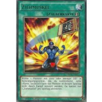 Ziehmuskel NECH-DE057