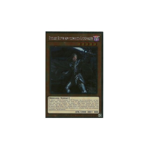 Unedler Ritter vom schwarzen Laundsallyn NKRT-DE005