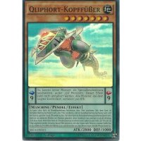 Qliphort-Kopffüßler SECE-DE021