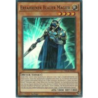 Erfahrener Blauer Magier SECE-DE032