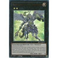 Himmelskavallerie Kornblume SECE-DE052