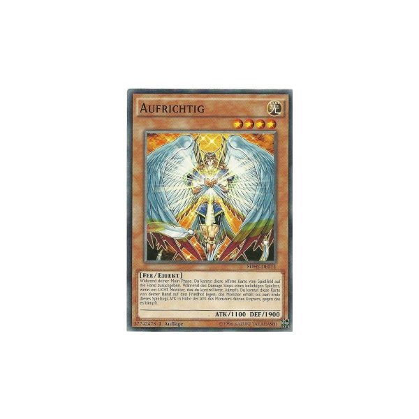 Aufrichtig SDHS-DE014