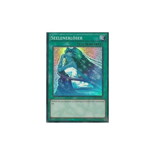 Seelenerl&ouml;ser THSF-DE048
