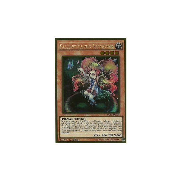 Fallenstellerin Nepenthes PGL2-DE038