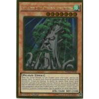 Sylvanischer Weisenmammutbaum PGL2-DE040