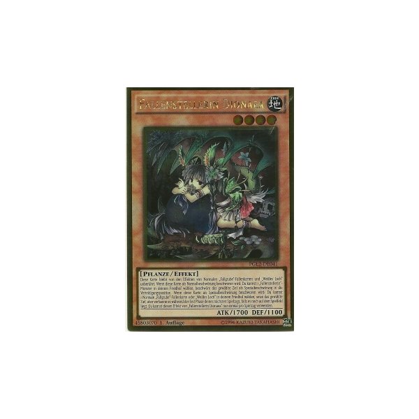 Fallenstellerin Dionaea PGL2-DE041