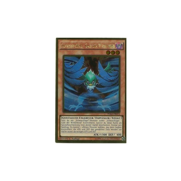 Schwarzfl&uuml;gel - Gale der Wirbelwind PGL2-DE073