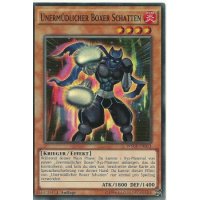 Unermüdlicher Boxer Schatten WSUP-DE013