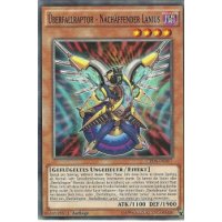 Überfallraptor - Nachäffender Lanius CROS-DE017