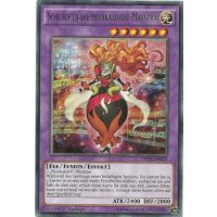 Schuberta die Musikalische Maestra CROS-DE039