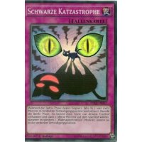 Schwarze Katzastrophe DRL2-DE037