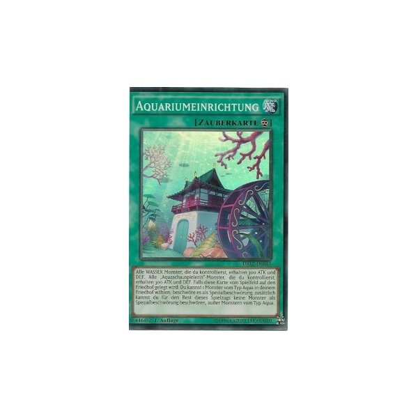 Aquariumeinrichtung DRL2-DE043