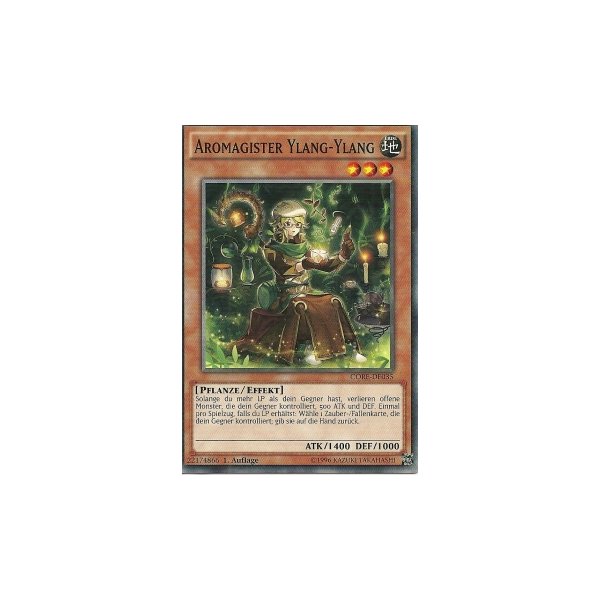 Aromagister Ylang-Ylang CORE-DE035