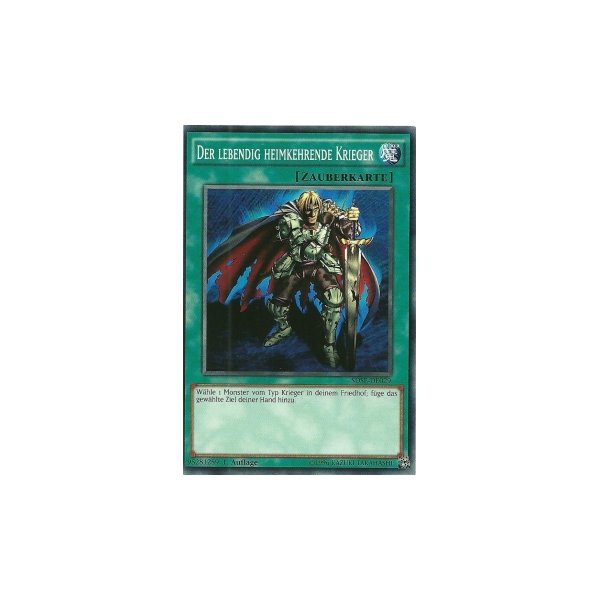 Der lebendig heimkehrende Krieger SDSE-DE029