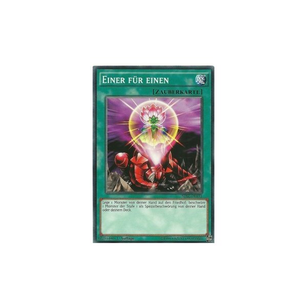 Einer f&uuml;r einen SDSE-DE031