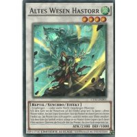 Altes Wesen Hastorr CT12-DE005