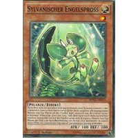Sylvanischer Engelspross MP15-DE013