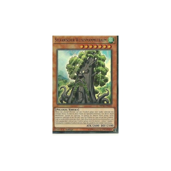 Sylvanischer Weisenmammutbaum MP15-DE016