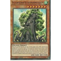 Sylvanischer Weisenmammutbaum MP15-DE016