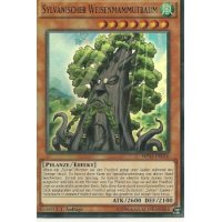 Sylvanischer Weisenmammutbaum MP15-DE016
