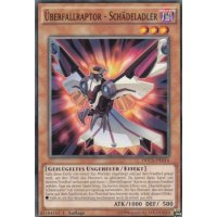 Überfallraptor - Schädeladler DOCS-DE014