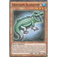 Graulien Alligator DOCS-DE033