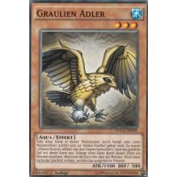 Graulien Adler DOCS-DE035