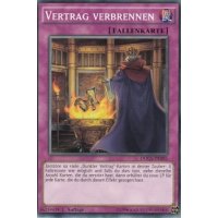 Vertrag verbrennen DOCS-DE096