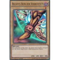 Rechtes Bein der Verbotenen YGLD-DEA18