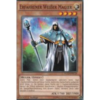 Erfahrener Weißer Magier YGLD-DEC20