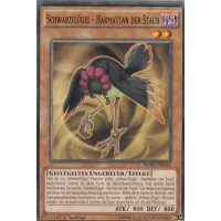 Schwarzflügel – Harmattan der Staub BOSH-DE014