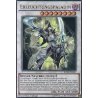 Erleuchtungspaladin BOSH-DE047