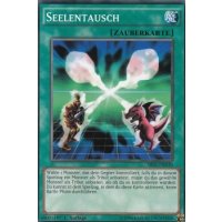 Seelentausch SR01-DE030