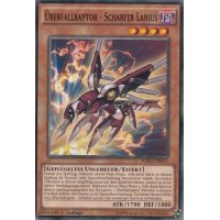 &Uuml;berfallraptor - Scharfer Lanius WIRA-DE019