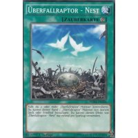 Überfallraptor - Nest WIRA-DE026
