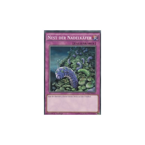 Nest der Nadelk&auml;fer WIRA-DE059