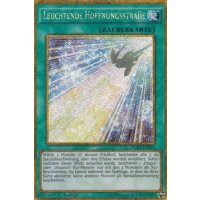 Leuchtende Hoffnungsstraße PGL3-DE014