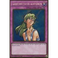 Gehirnwäsche aufheben PGL3-DE091