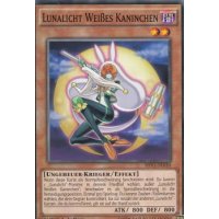 Lunalicht Weißes Kaninchen SHVI-DE010