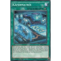Käfermatrix SHVI-DE064