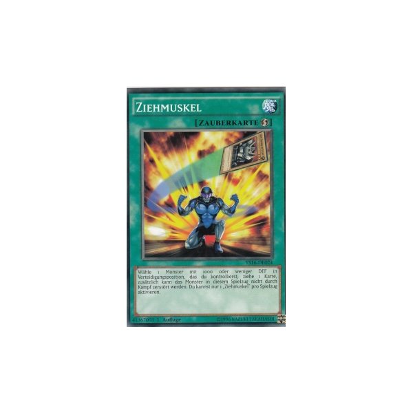 Ziehmuskel YS16-DE024