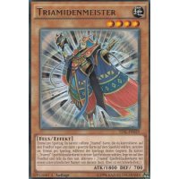 Triamidenmeister TDIL-DE029