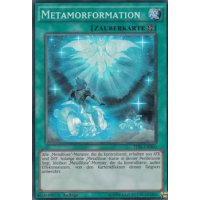 Metamorformation TDIL-DE060