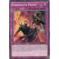 Vereinigte Front TDIL-DE078