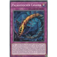 Paläozoischer Canadia TDIL-DE097