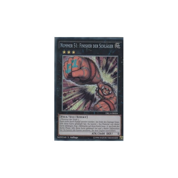 Nummer 51: Finisher der Schl&auml;ger DRL3-DE024