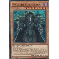 Wächter Brachialsense DRL3-DE049