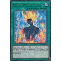 Transmigration der Rotäugigen DRL3-DE069