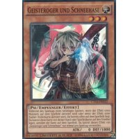 Geisteroger und Schneehase CT13-DE012