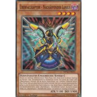 Überfallraptor - Nachäffender Lanius MP16-DE015